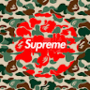 Meet your Posher, Carter